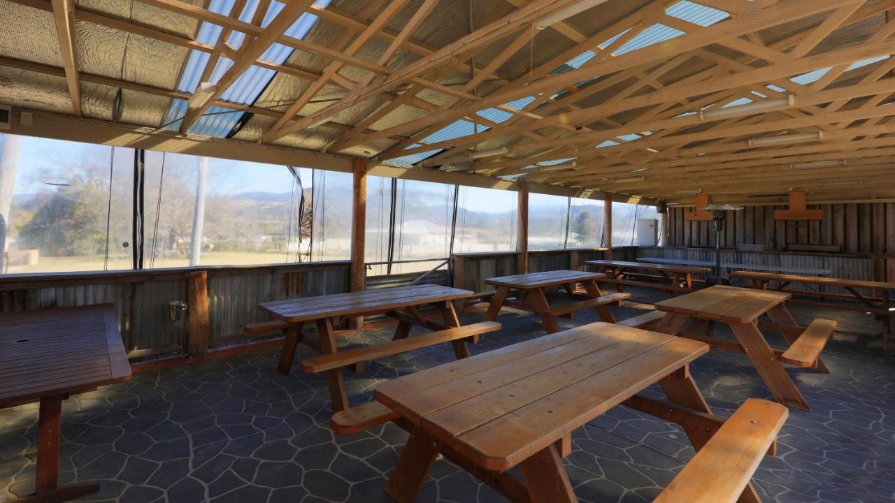 Tenterfield Motor Inn מראה חיצוני תמונה